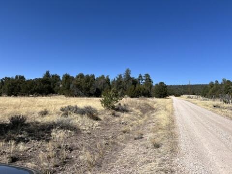 LOT9 Copperweed Rd, Ramah, NM 87321