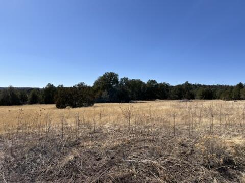 LOT9 Copperweed Rd, Ramah, NM 87321