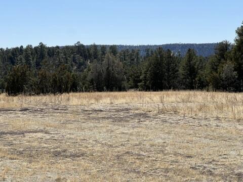 LOT9 Copperweed Rd, Ramah, NM 87321