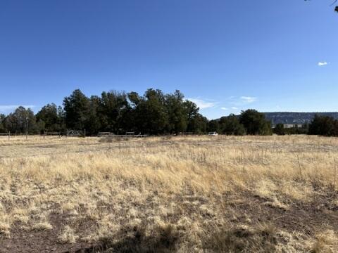 LOT9 Copperweed Rd, Ramah, NM 87321