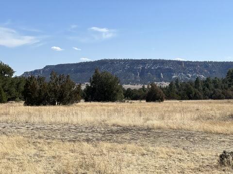 LOT9 Copperweed Rd, Ramah, NM 87321