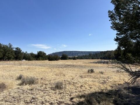 LOT9 Copperweed Rd, Ramah, NM 87321