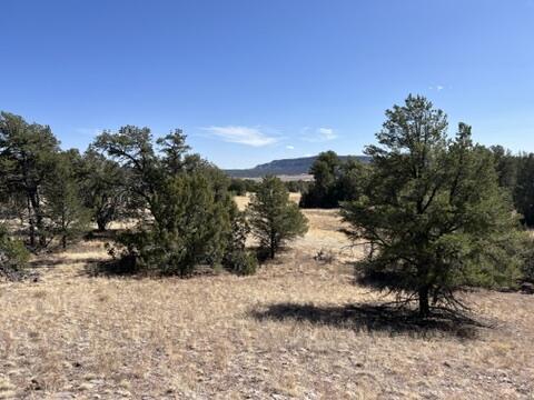LOT9 Copperweed Rd, Ramah, NM 87321