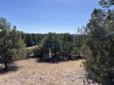LOT9 Copperweed Rd, Ramah, NM 87321