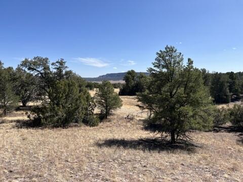 LOT9 Copperweed Rd, Ramah, NM 87321