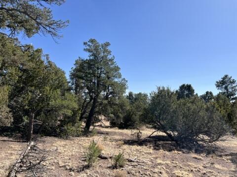 LOT9 Copperweed Rd, Ramah, NM 87321