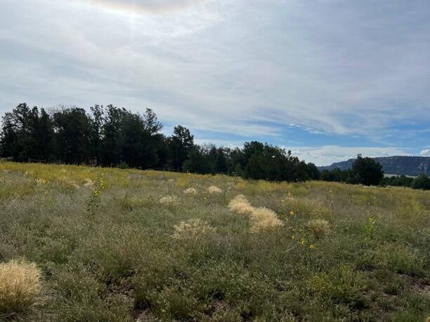 LOT9 Copperweed Rd, Ramah, NM 87321