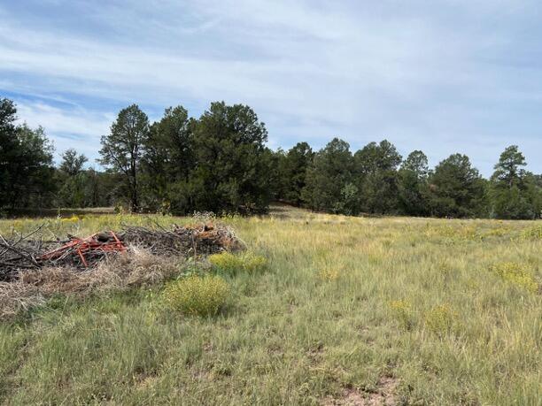 LOT9 Copperweed Rd, Ramah, NM 87321