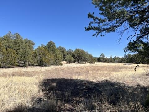 LOT9 Copperweed Rd, Ramah, NM 87321