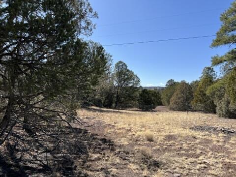 LOT9 Copperweed Rd, Ramah, NM 87321