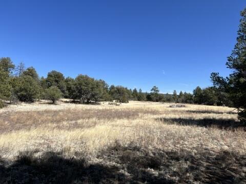 LOT9 Copperweed Rd, Ramah, NM 87321