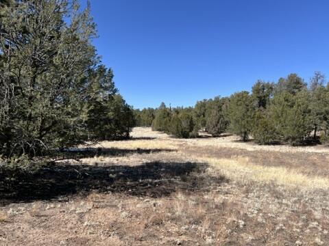 LOT9 Copperweed Rd, Ramah, NM 87321