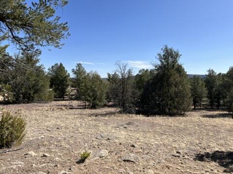 LOT9 Copperweed Rd, Ramah, NM 87321