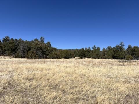 LOT9 Copperweed Rd, Ramah, NM 87321