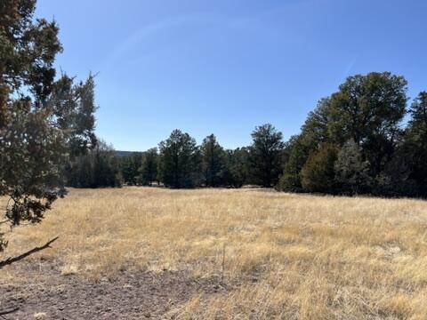 LOT9 Copperweed Rd, Ramah, NM 87321