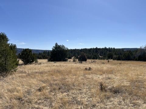 LOT9 Copperweed Rd, Ramah, NM 87321