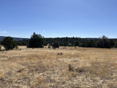 LOT9 Copperweed Rd, Ramah, NM 87321