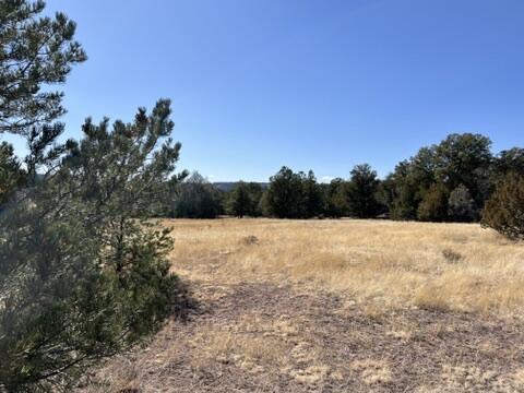 LOT9 Copperweed Rd, Ramah, NM 87321