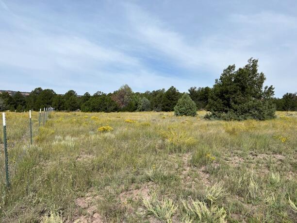 LOT9 Copperweed Rd, Ramah, NM 87321