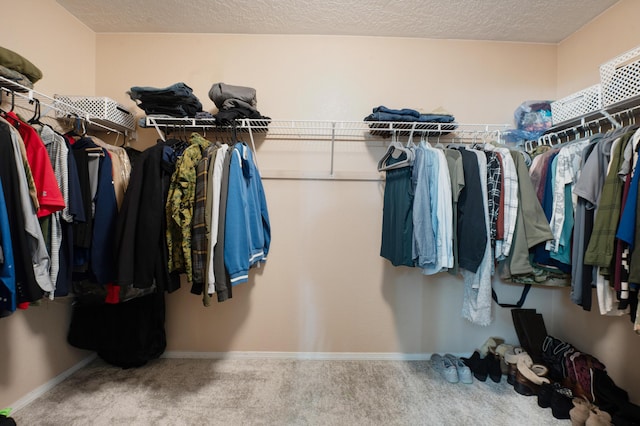 101 Colinas Ave NE, Albuquerque, NM 87113 - walk in closet with carpet flooring