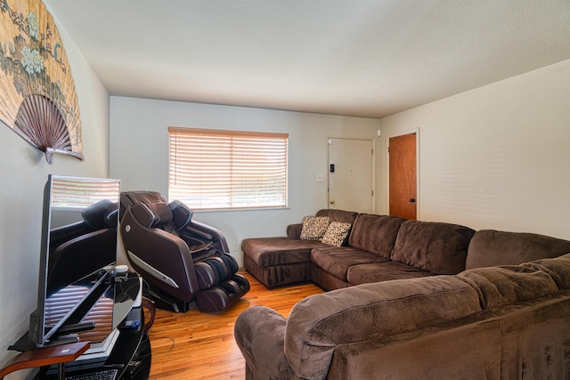 living area featuring wood finished floors