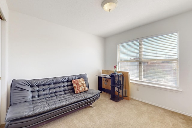 1001 Calle Garza NE, Albuquerque, NM 87113 - living area with carpet flooring and baseboards