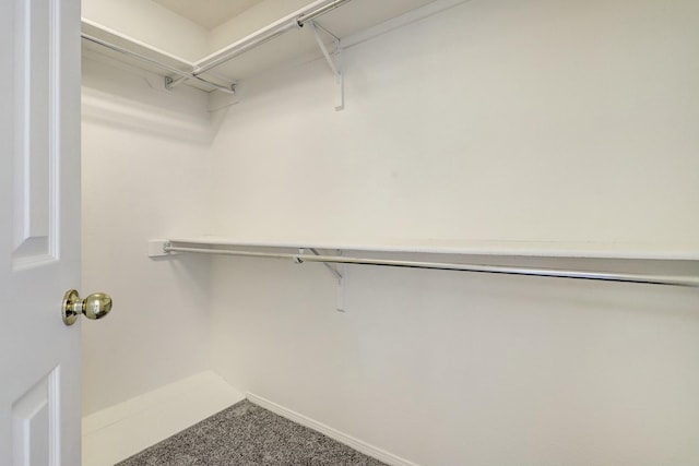 walk in closet featuring carpet floors