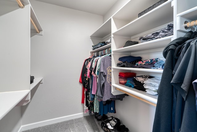 7754 Majesty Ct NW, Albuquerque, NM 87107 - spacious closet with carpet flooring