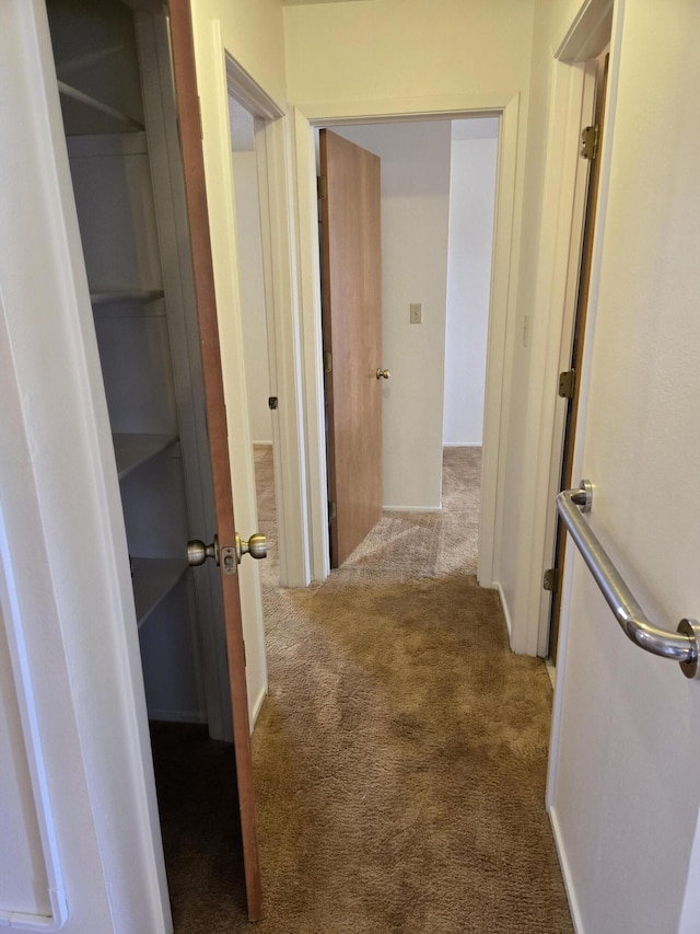 hallway featuring carpet floors