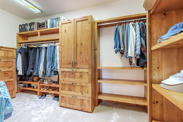 712 Navarra Way SE, Albuquerque, NM 87123 - walk in closet with carpet