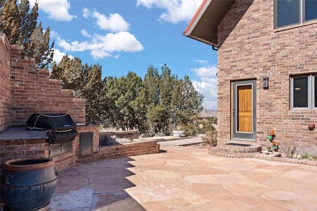 view of patio featuring exterior kitchen