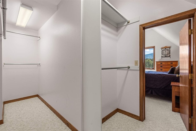 walk in closet with carpet