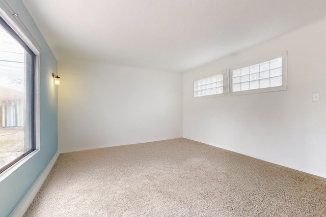 spare room with carpet