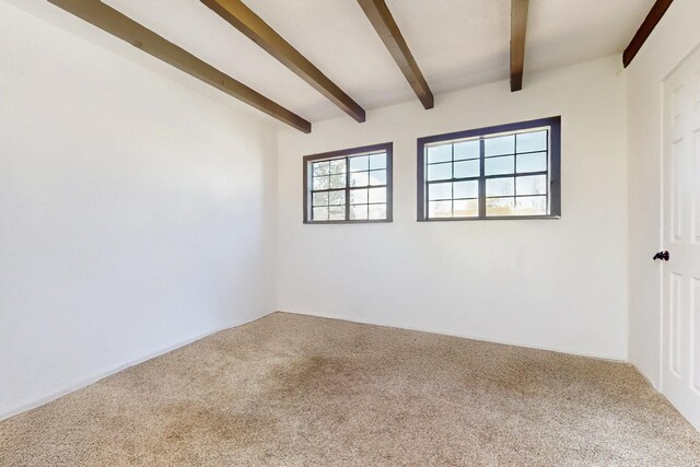 spare room featuring beam ceiling and carpet floors