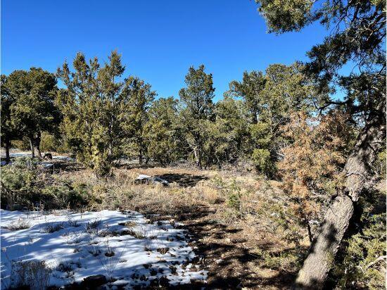 6 Pinon Point Rd, Tijeras, NM 87059