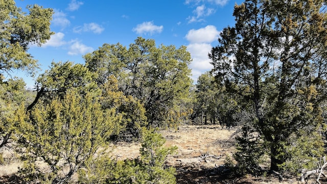 6 Pinon Point Rd, Tijeras, NM 87059