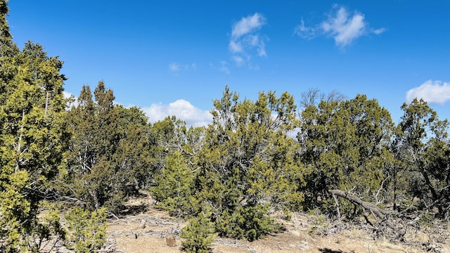8 Pinon Point Rd, Tijeras, NM 87059