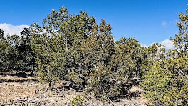 8 Pinon Point Rd, Tijeras, NM 87059
