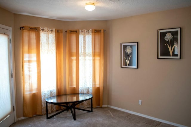 living area with baseboards and carpet floors