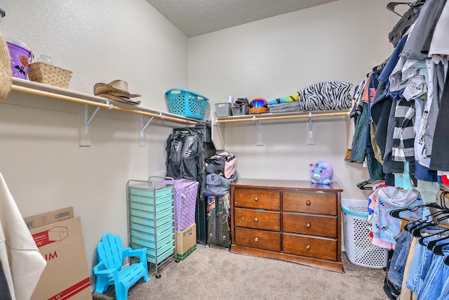 walk in closet featuring carpet flooring