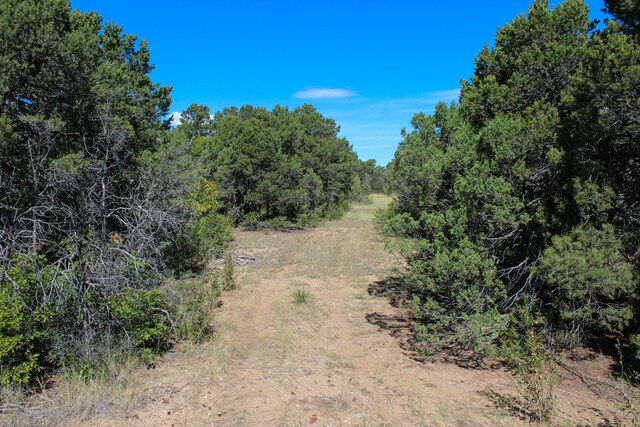10398 Nm 337, Tijeras, NM 87059 - photo 27