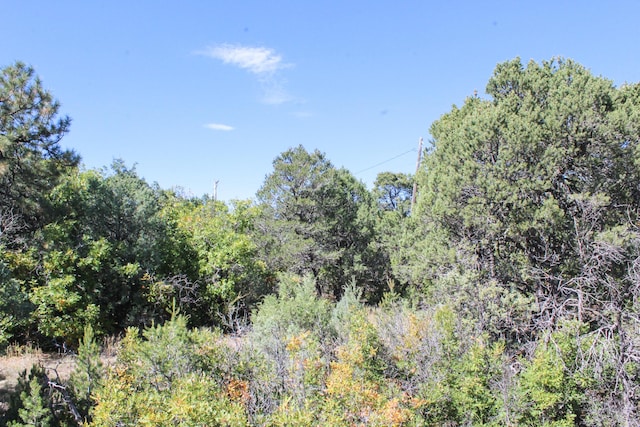 10398 Nm 337, Tijeras, NM 87059 - photo 26