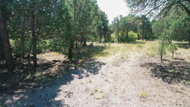 10398 Nm 337, Tijeras, NM 87059 - photo 6