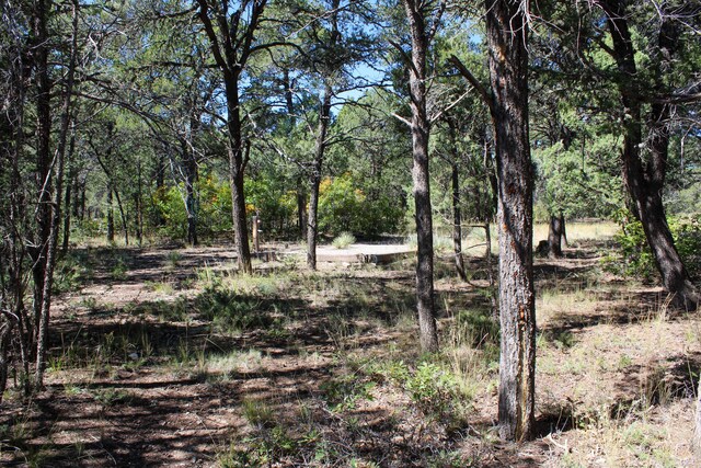 10398 Nm 337, Tijeras, NM 87059 - photo 5