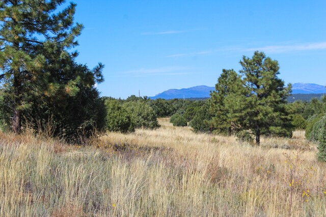 10398 Nm 337, Tijeras, NM 87059 - photo 4