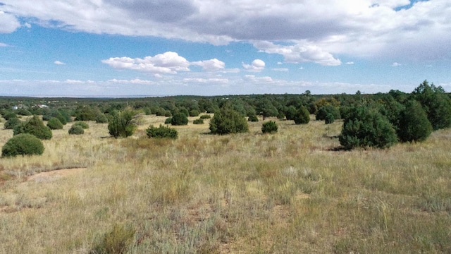 10398 Nm 337, Tijeras, NM 87059 - photo 3