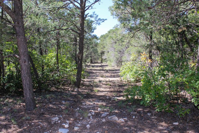 10398 Nm 337, Tijeras, NM 87059 - photo 2