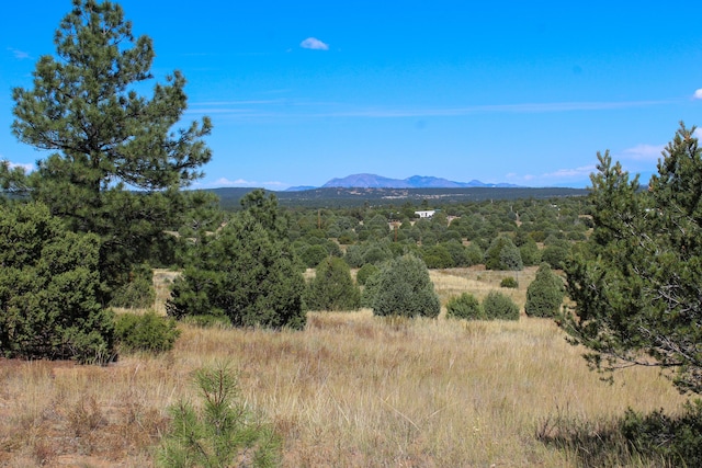 10398 Nm 337, Tijeras, NM 87059 - photo 1