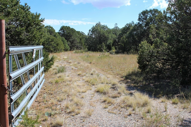 10398 Nm 337, Tijeras, NM 87059 - photo 25