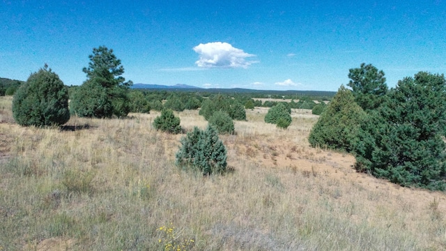 10398 Nm 337, Tijeras, NM 87059 - photo 24